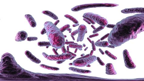 EMA Backs New Antibiotic for Complex Bacterial Infections.